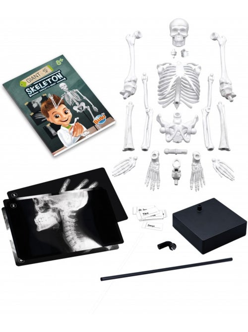 Squelette 45 cm - Kiabi