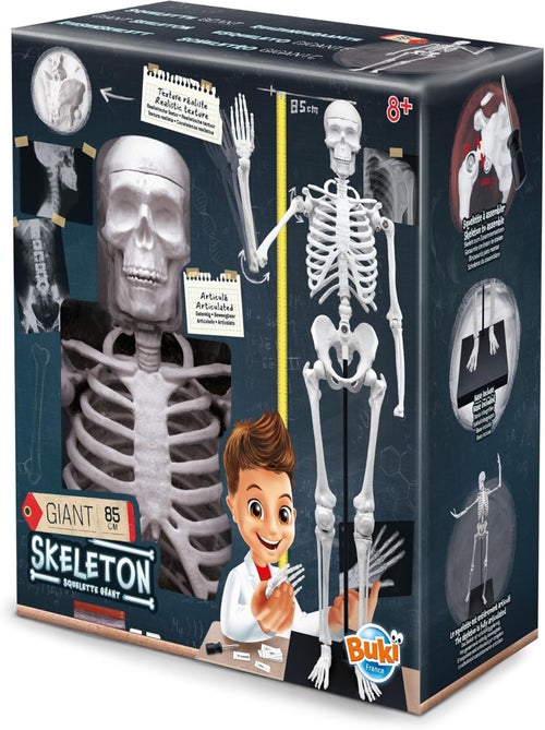 Squelette géant 85 cm - Kiabi