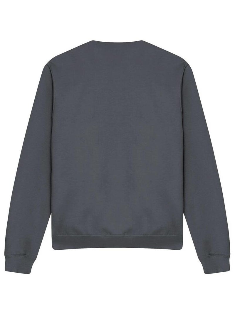 Star Trek - Sweat THE CELEBRATE DIVERSITY Gris Noir - Kiabi
