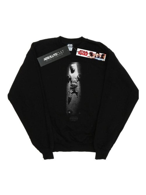 Star Wars - Sweat CARBONITE - Kiabi
