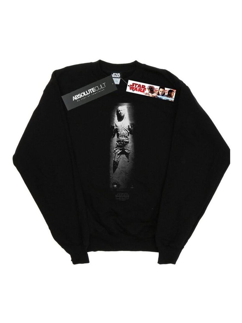 Star Wars - Sweat CARBONITE Noir - Kiabi