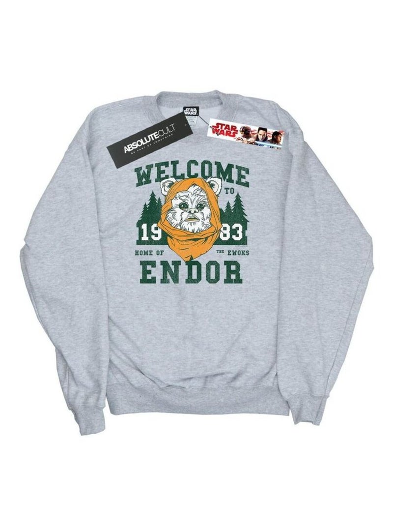 Star Wars - Sweat ENDOR CAMP Gris chiné - Kiabi