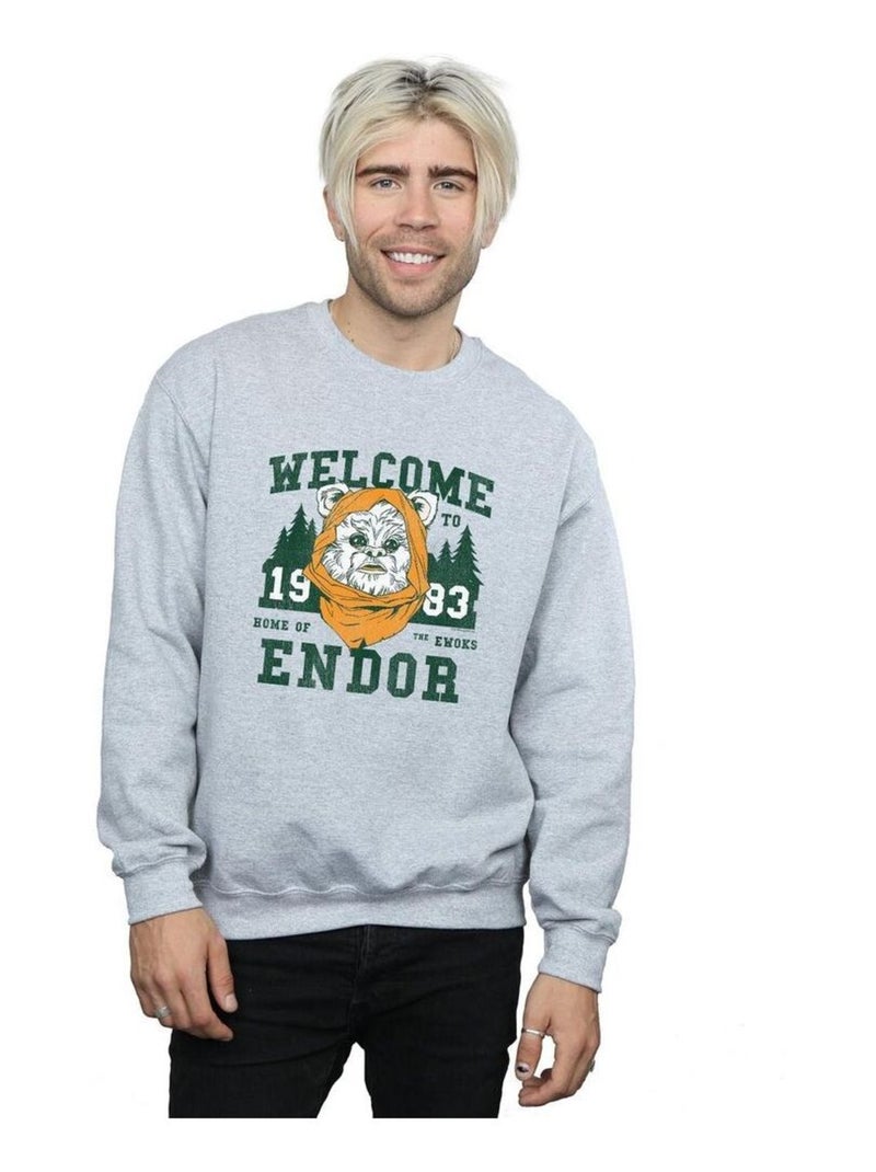 Star Wars - Sweat ENDOR CAMP Gris chiné - Kiabi
