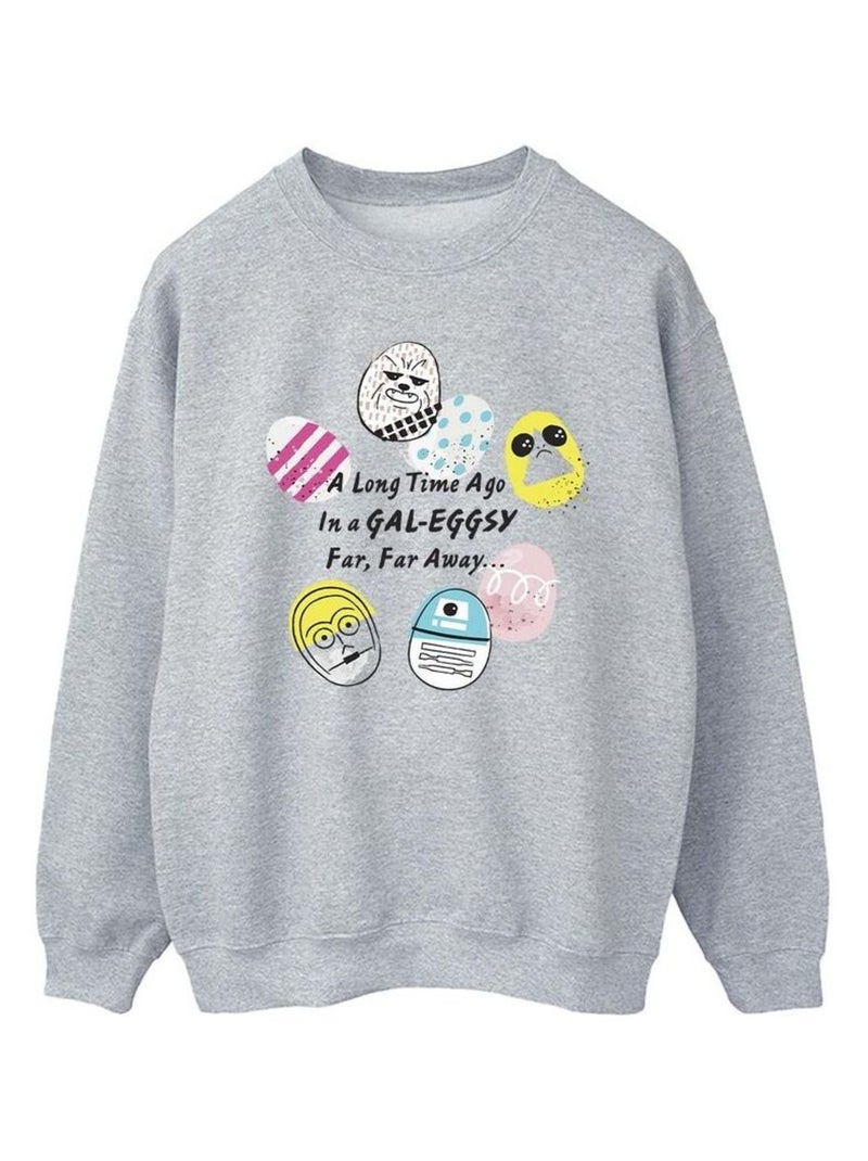 Star Wars - Sweat GALEGGSY FAR AWAY Gris chiné - Kiabi