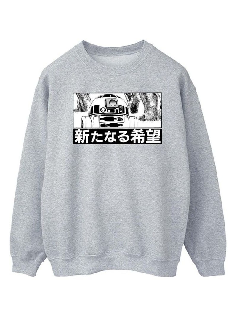 Star Wars - Sweat Gris chiné - Kiabi