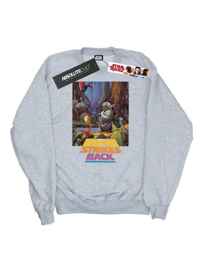 Star Wars - Sweat Gris chiné - Kiabi