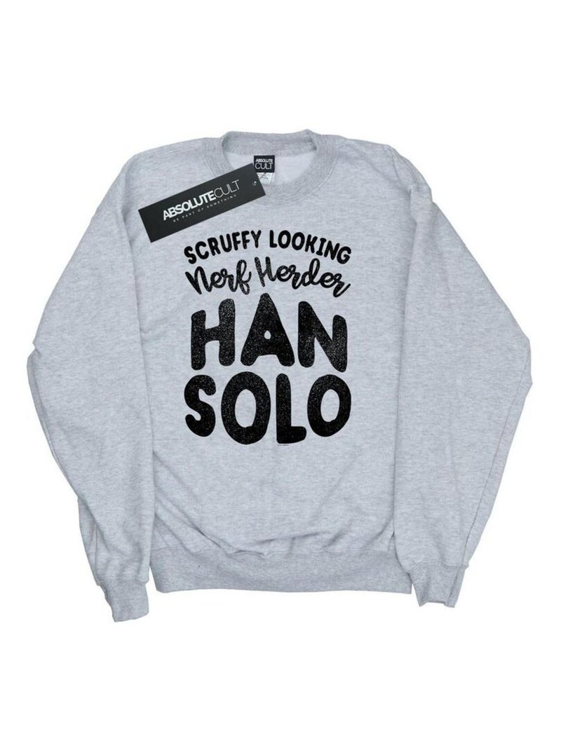 Star Wars - Sweat LEGENDS TRIBUTE Gris chiné - Kiabi