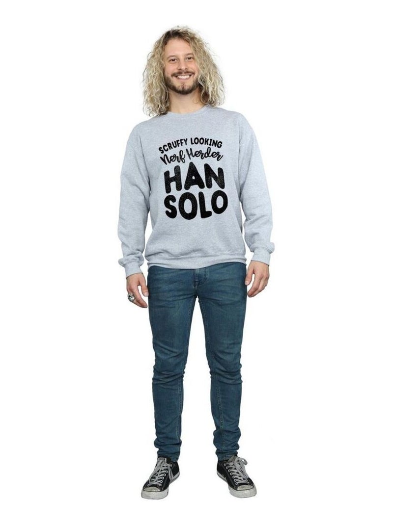 Star Wars - Sweat LEGENDS TRIBUTE Gris chiné - Kiabi