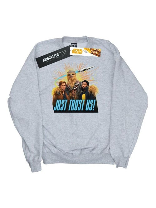 Star Wars - Sweat SOLO JUST TRUST US - Kiabi