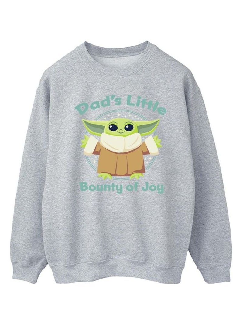 Star Wars - Sweat THE MANDALORIAN BOUNTY OF JOY Gris chiné - Kiabi