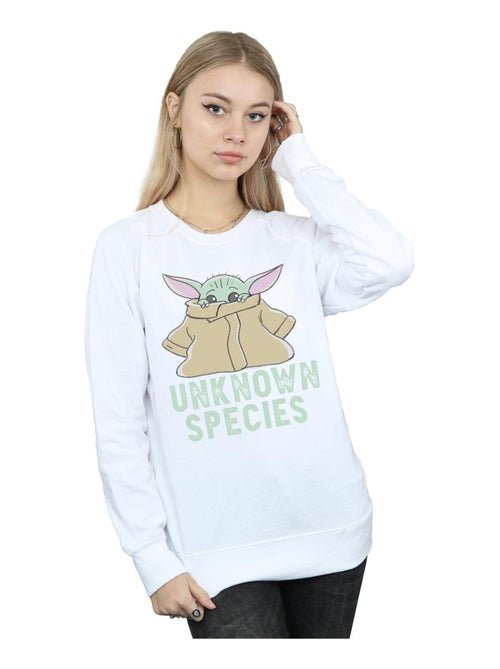 Star Wars - Sweat THE MANDALORIAN UNKNOWN SPECIES - Kiabi