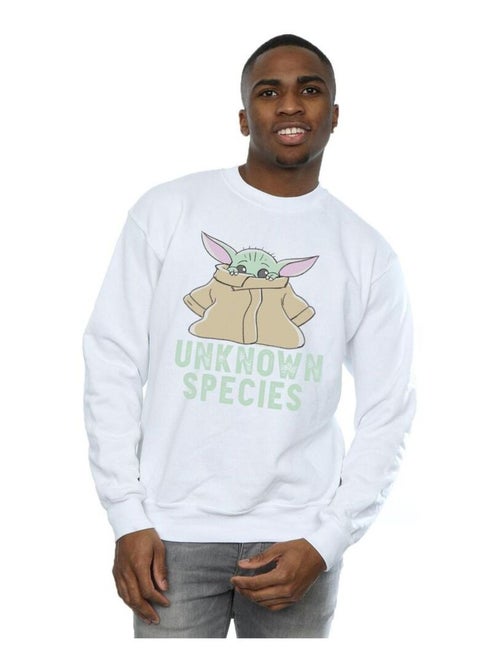 Star Wars - Sweat THE MANDALORIAN UNKNOWN SPECIES - Kiabi Star Wars - Sweat THE MANDALORIAN UNKNOWN SPECIES - Kiabi