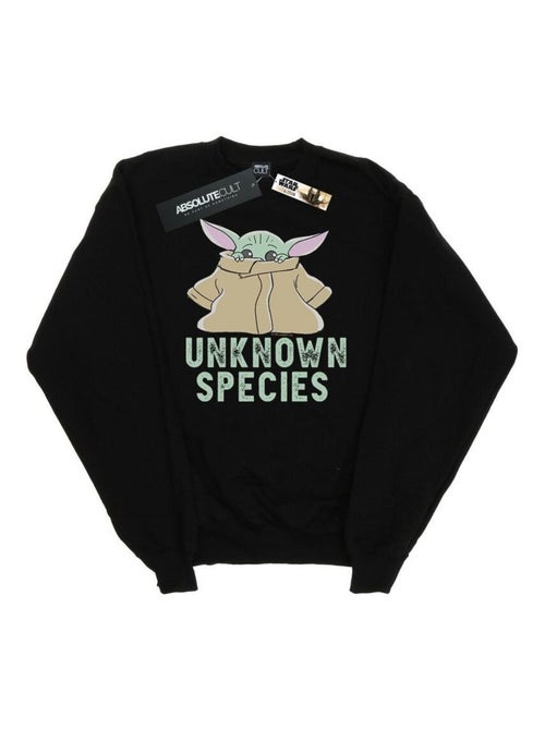 Star Wars - Sweat THE MANDALORIAN UNKNOWN SPECIES - Kiabi Star Wars - Sweat THE MANDALORIAN UNKNOWN SPECIES - Kiabi
