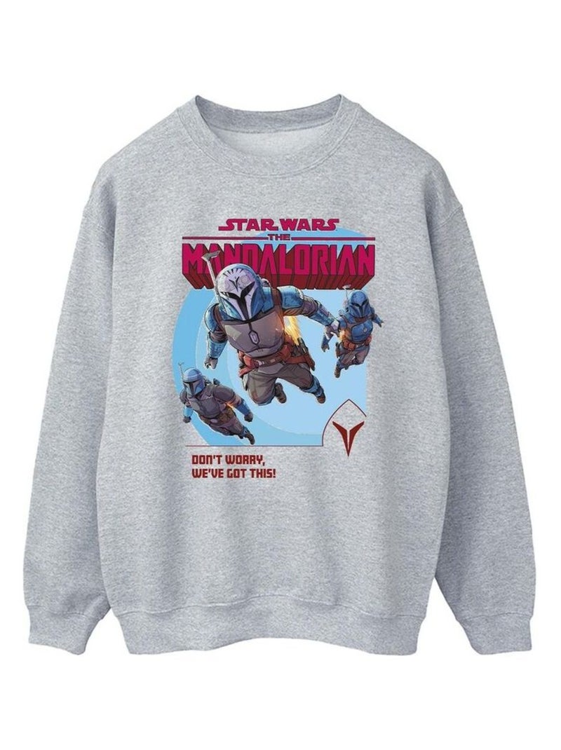 Star Wars - Sweat THE MANDALORIAN WE'VE GOT THIS Gris chiné - Kiabi