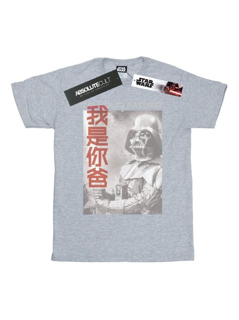 Star Wars - T-shirt AM YOUR FATHER CHINESE Gris chiné - Kiabi
