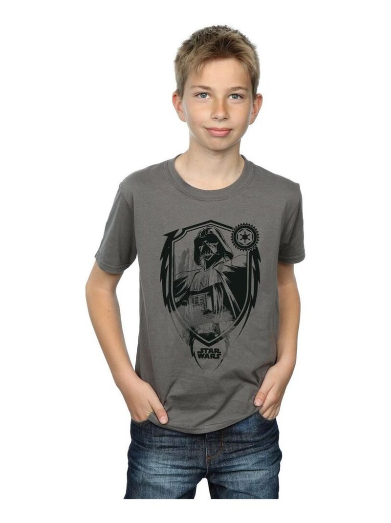 Star Wars - T-shirt DARTH VADER Gris Noir - Kiabi