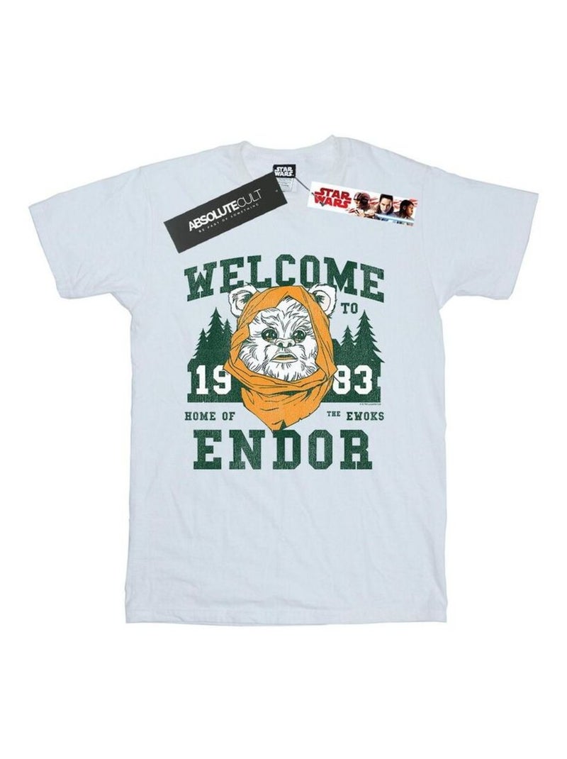 Star Wars - T-shirt ENDOR CAMP Blanc - Kiabi