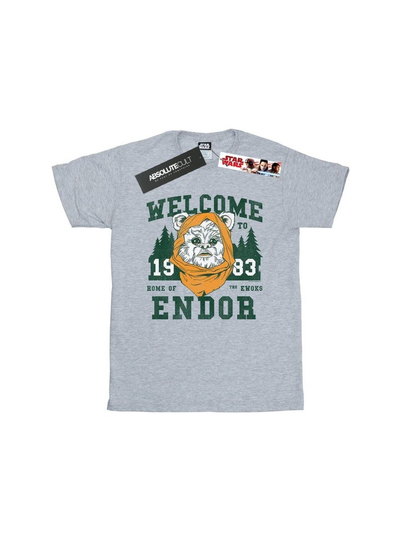 Star Wars - T-shirt ENDOR CAMP Gris chiné - Kiabi