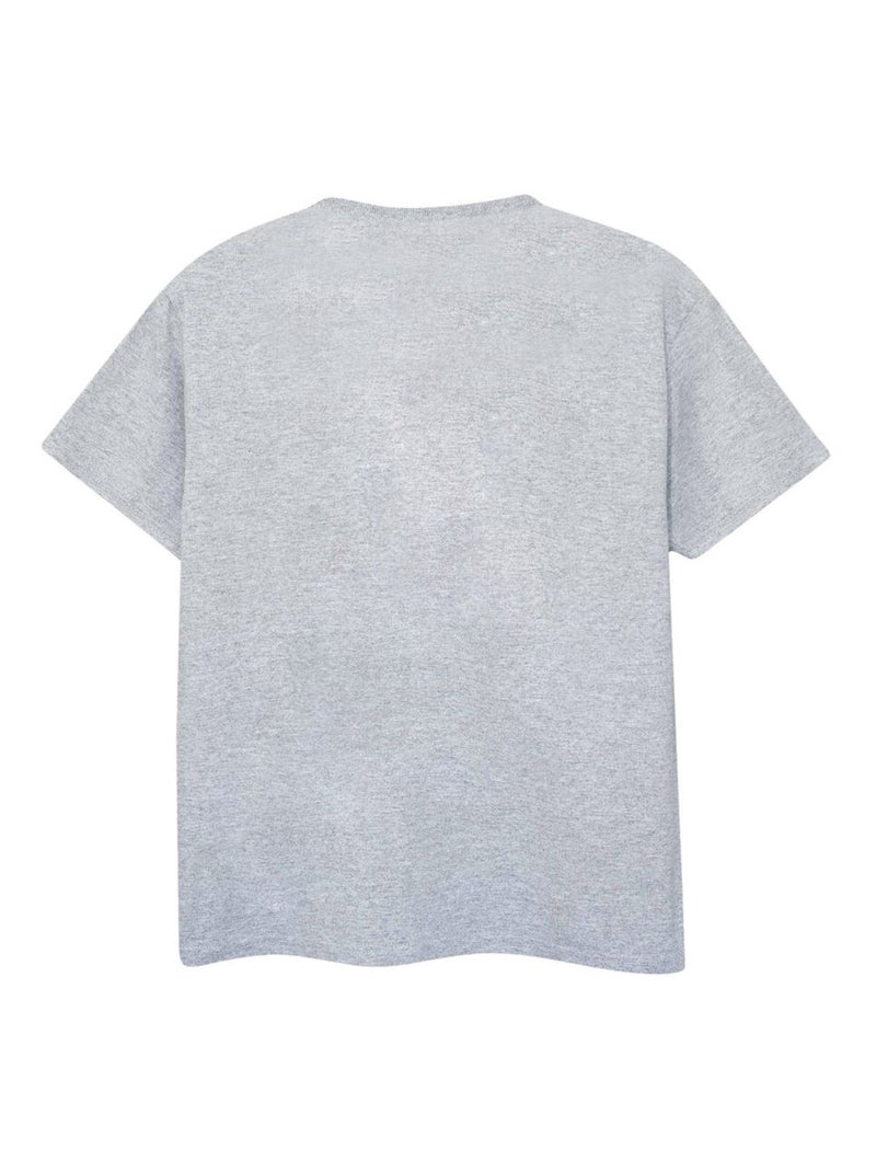 Star Wars - T-shirt REBELS THE GRAND INQUISITOR Gris chiné - Kiabi