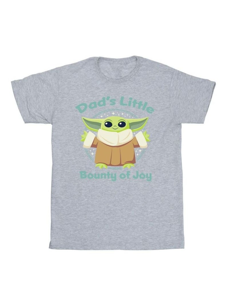 Star Wars - T-shirt THE MANDALORIAN BOUNTY OF JOY Gris chiné - Kiabi