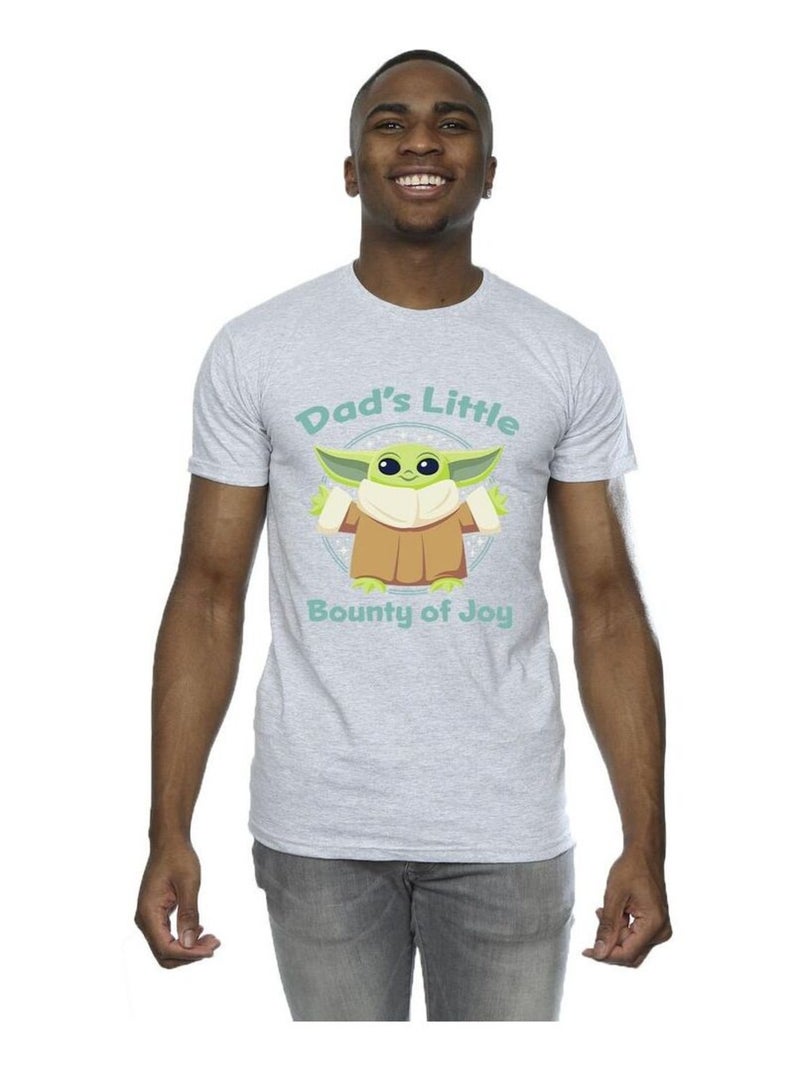 Star Wars - T-shirt THE MANDALORIAN BOUNTY OF JOY Gris chiné - Kiabi