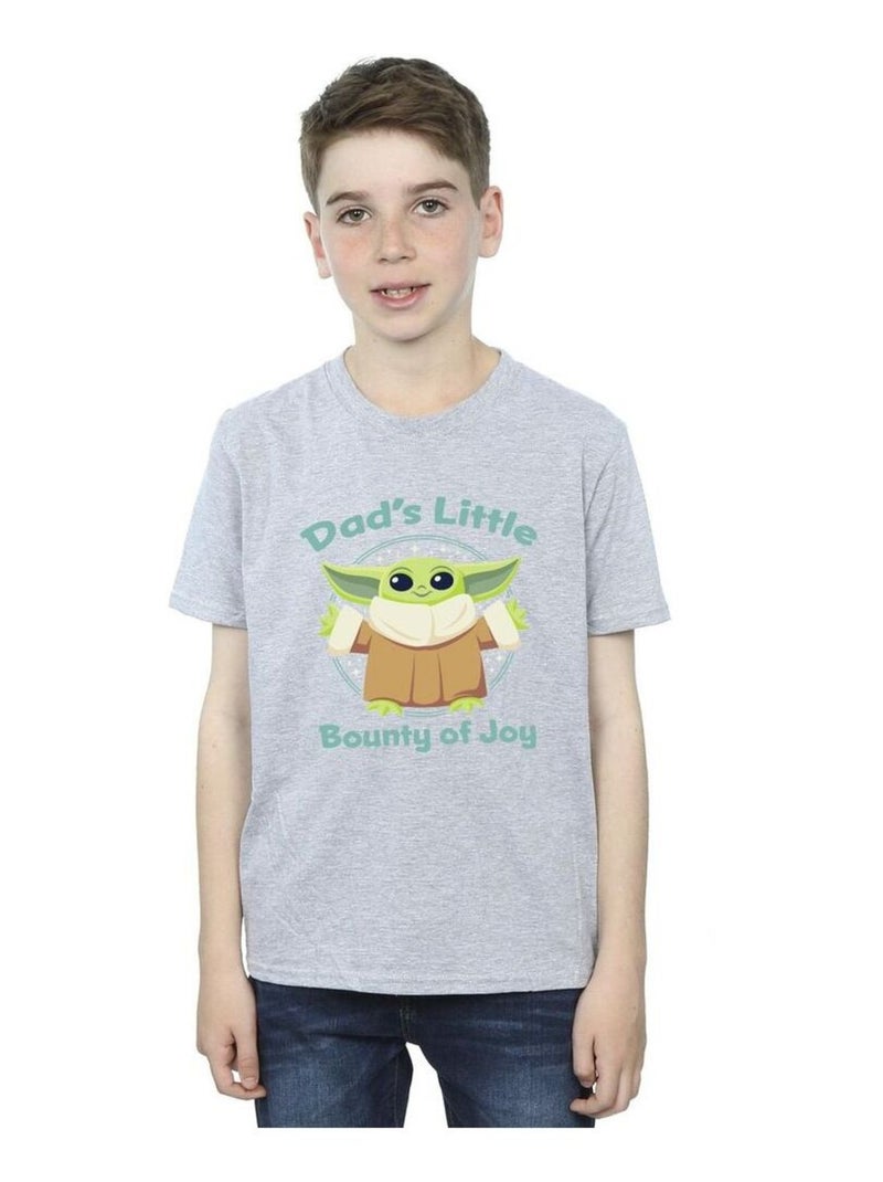 Star Wars - T-shirt THE MANDALORIAN BOUNTY OF JOY Gris chiné - Kiabi
