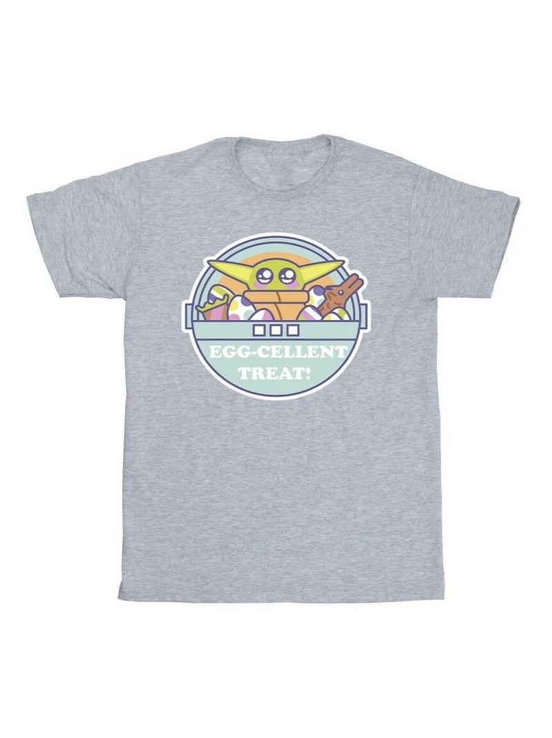 Star Wars - T-shirt THE MANDALORIAN EGGCELLENT EASTER Gris chiné - Kiabi
