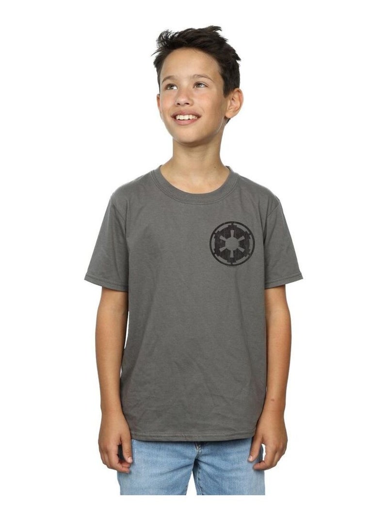 Star Wars - T-shirt THE MANDALORIAN GALACTIC EMPIRE Gris Noir - Kiabi