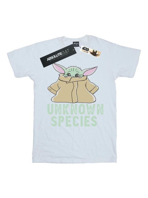 Star Wars - T-shirt THE MANDALORIAN UNKNOWN SPECIES - Kiabi Star Wars - T-shirt THE MANDALORIAN UNKNOWN SPECIES - Kiabi