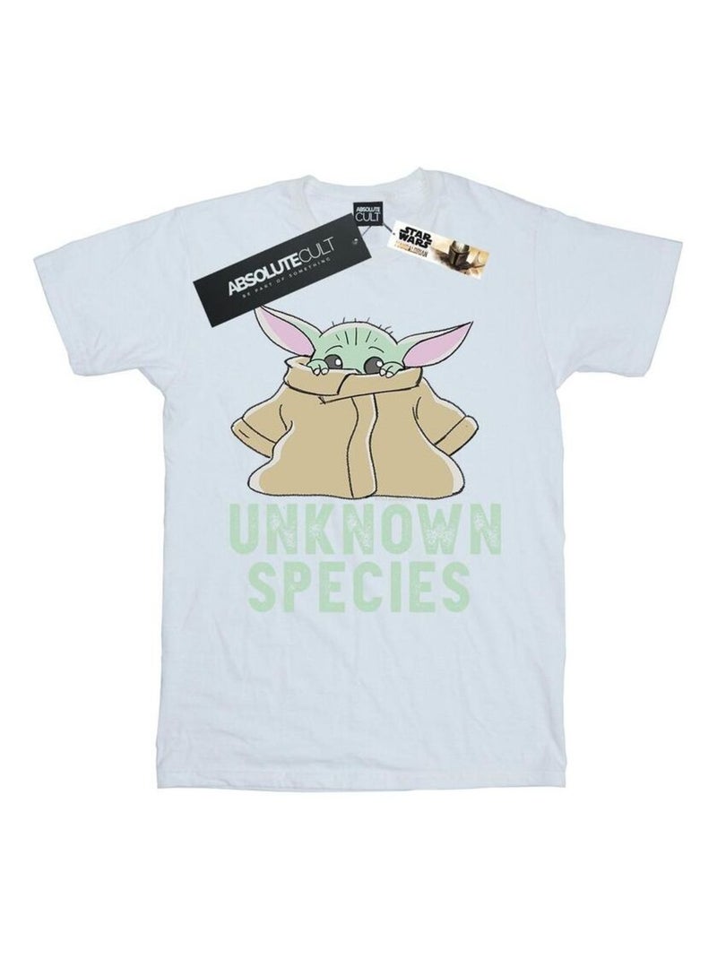 Star Wars - T-shirt THE MANDALORIAN UNKNOWN SPECIES Blanc - Kiabi