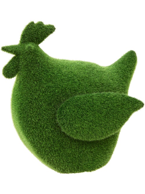 Statuette poule gazon synthétique H25,4cm GRASS - Kiabi