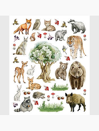 Sticker - animaux de la forêt - 14x20 cm