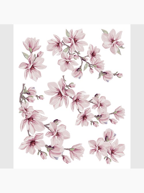 Sticker - fleurs de magnolia - 14x20 cm - Kiabi