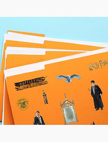 Sticker - trio de magiciens harry potter - 14x20 cm