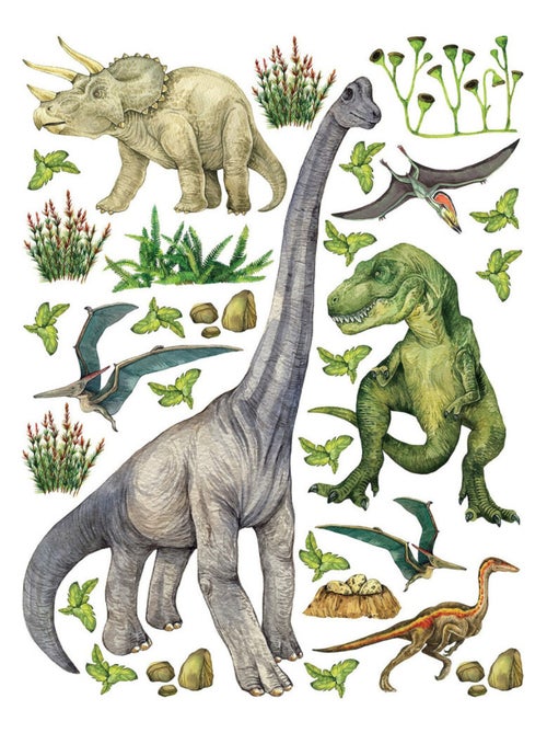 Sticker Dinosaures - 6 espèces de dinosaures - 1 planche 65 x 85 cm - Kiabi