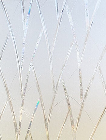 Sticker Film pour les Fenêtres - Motif Bambou