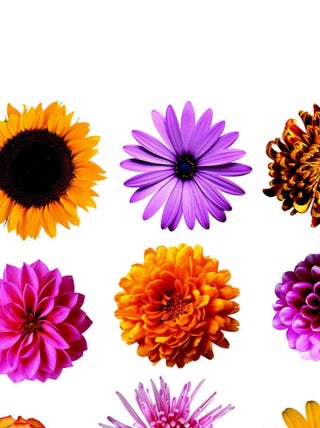 Sticker Fleurs multicolores - 1 planche 30 x 30 cm