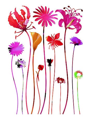 Sticker Fleurs multicolores - 1 planche 42,5 x 65 cm