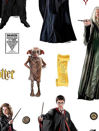 Sticker Harry Potter - tous les personnages d'Harry Potter - 1 planche 30 x 30 cm