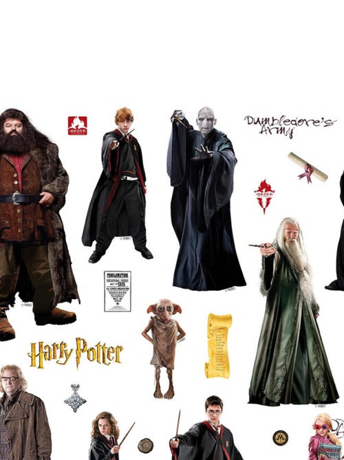 Sticker Harry Potter - tous les personnages d'Harry Potter - 1 planche 42,5 x 65 cm - Kiabi
