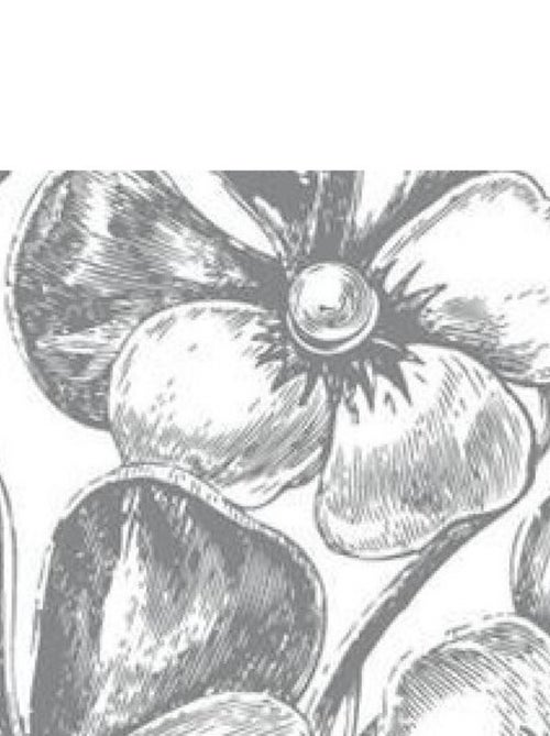 Sticker mural - Bouquet Argenté - 65 x 85 cm - Kiabi