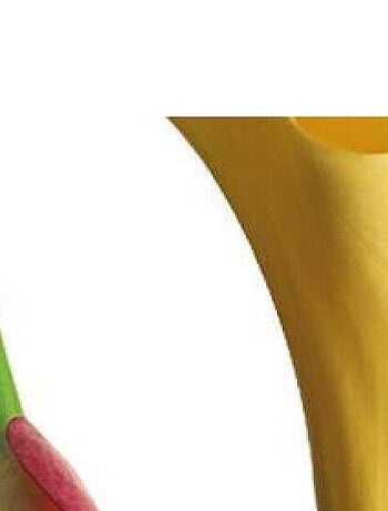 Sticker mural - Fleurs - 65 x 85 cm