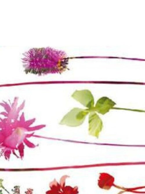 Sticker mural - Fleurs Colorées - 65 x 85 cm - Kiabi