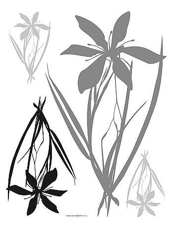 Sticker mural - Fleurs Grises et Noirs - 65 x 85 cm