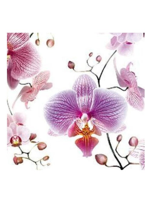 Sticker mural - Fleurs Roses - 65 x 85 cm - Kiabi