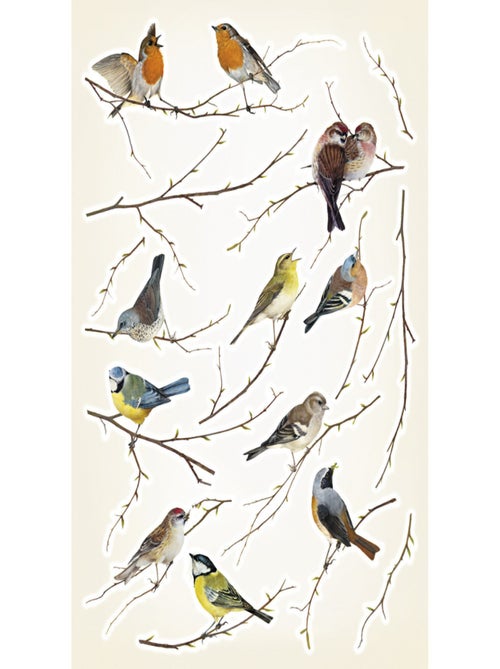 Sticker mural 12 oiseaux sur des branches - 50x70 cm - Kiabi