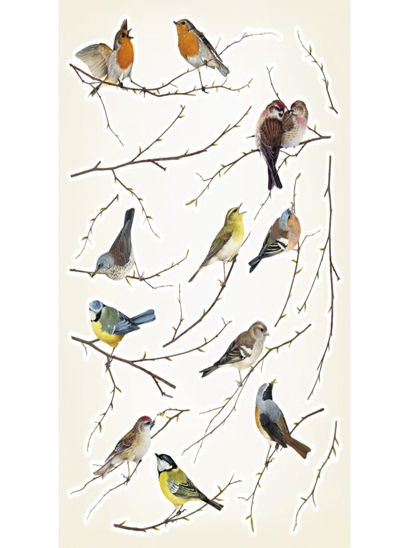 Sticker mural 12 oiseaux sur des branches - 50x70 cm Multicolore - Kiabi