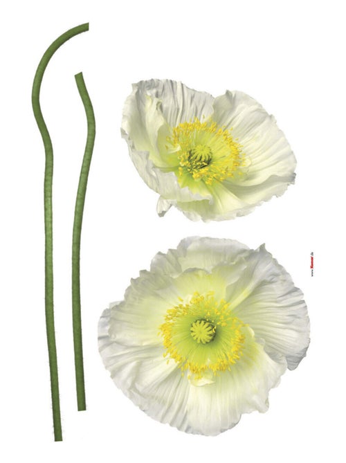 Sticker mural deux grandes fleurs de pavot blanc - 50x70 cm - Kiabi