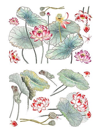 Sticker Mural Géant Jardin de Fleur de Lotus XL