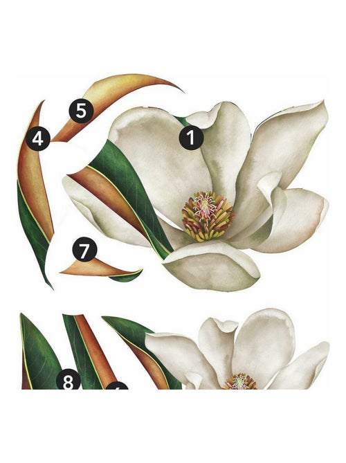 Sticker mural géant Magnolia Vintage - Kiabi